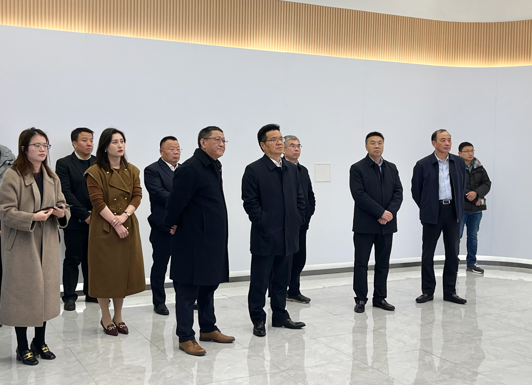 徐州市市委副书记、市长王剑锋一行来访pg电子游戏试玩